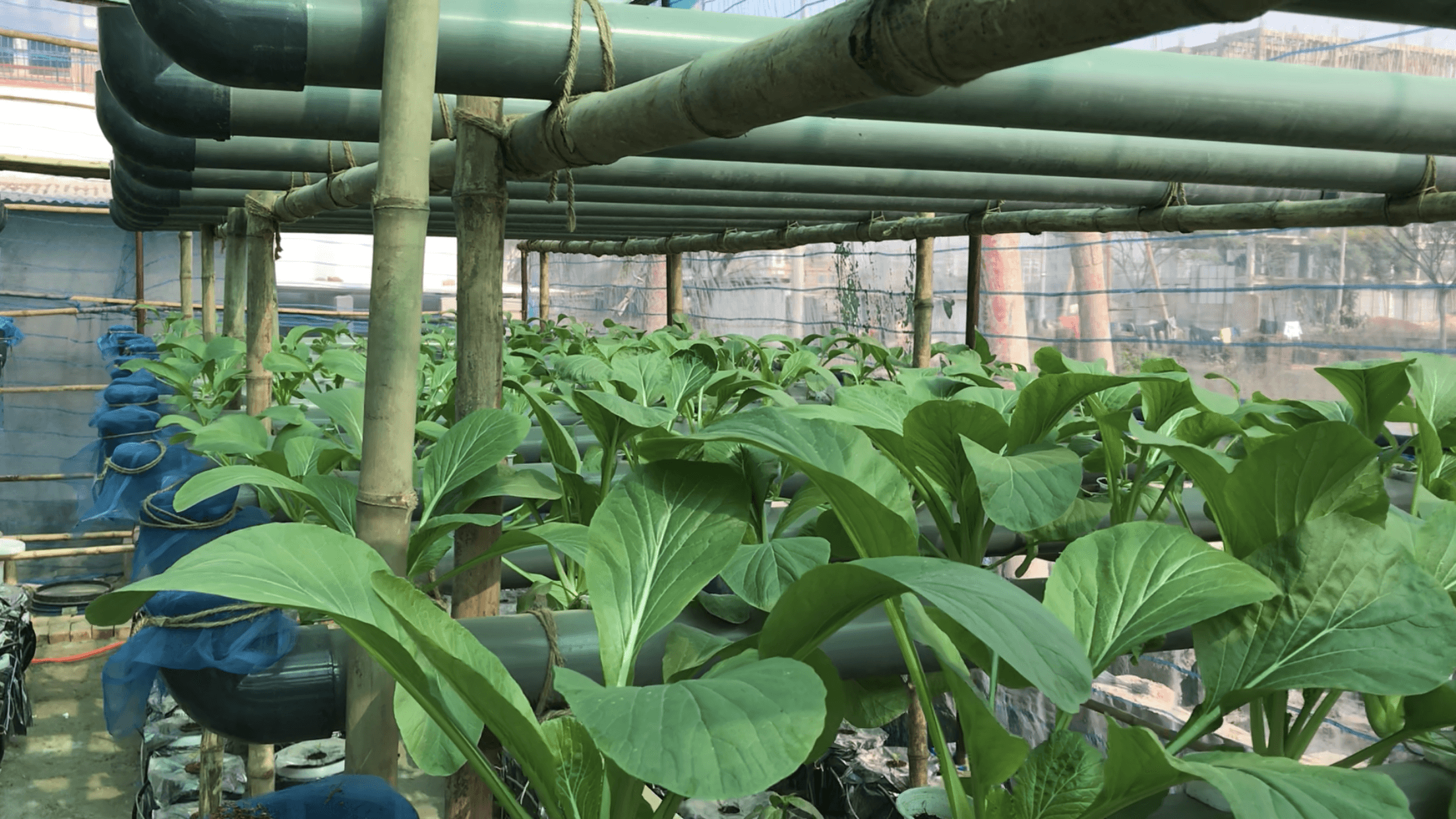 Dyadic Research lab and facilities